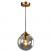 Smoke Glass Globe Hanging Light